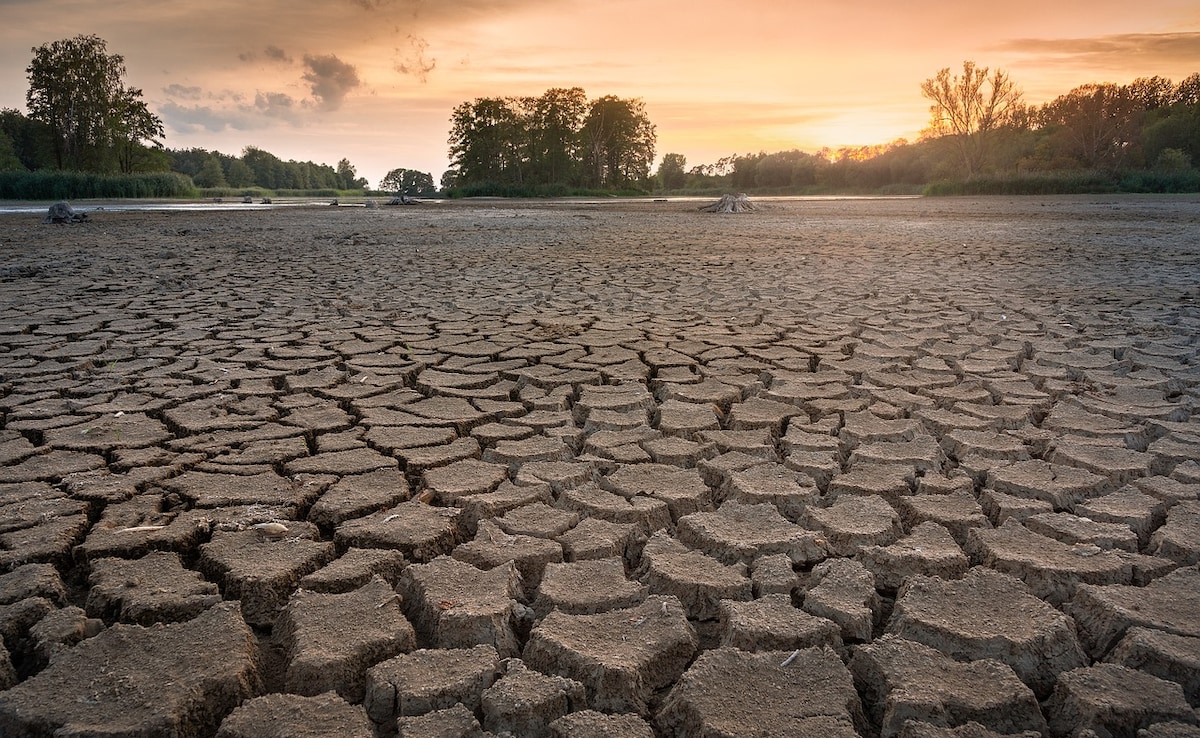 Drought Sinks Longest Polish River To Record-low Level