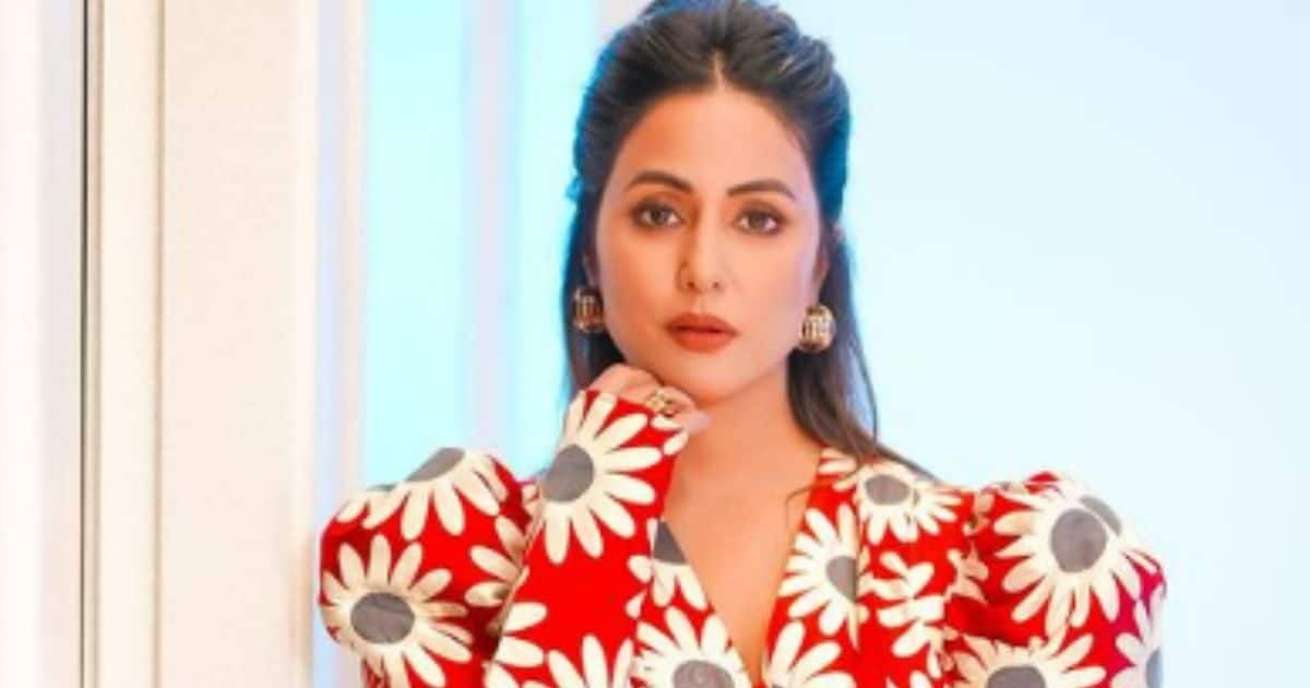 'Hina Khan झूठ बोल रही है', एक्ट्रेस के कैंसर को इनफ्लुएंसर ने बताया फेक