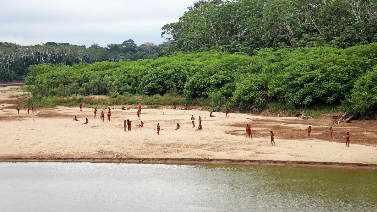 Video: World’s most isolated indigenous tribe emerges from Amazon forest