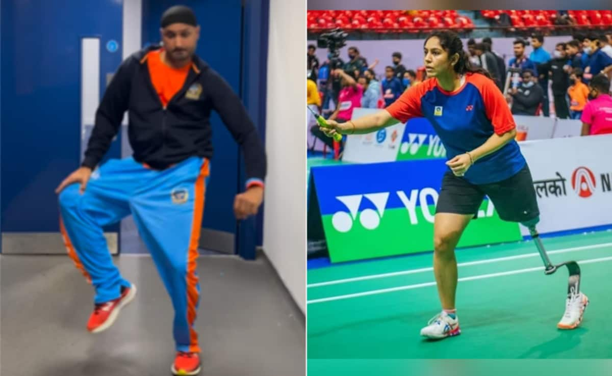 Harbhajan, Raina Blasted By Para-Badminton Star For 'Mocking Disabilities'