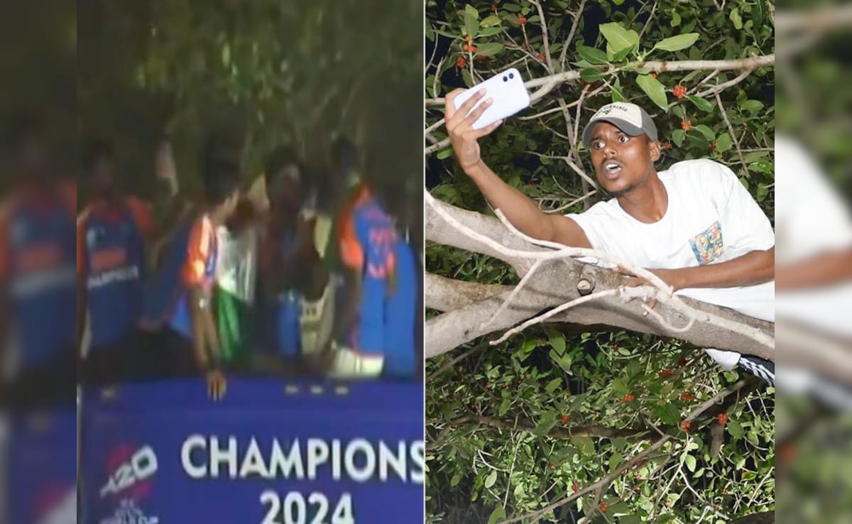 Fan Climbs On Tree To See Team India's Parade, Don't Miss Kohli's Reaction