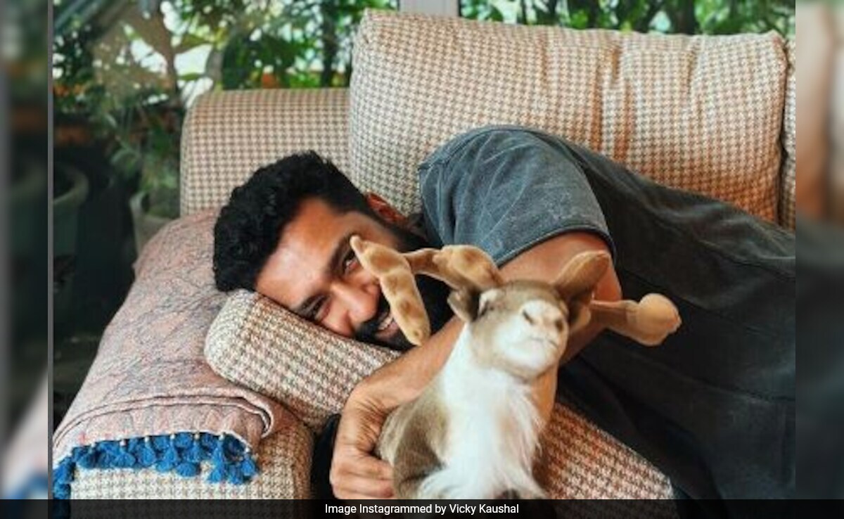 No Points For Guessing Who Captured Vicky Kaushal's "Lazy Sunday" Mood