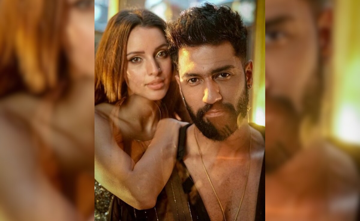 Bad Newz Box Office Collection Day 2: Progress Report On Vicky Kaushal And Triptii Dimri's Film