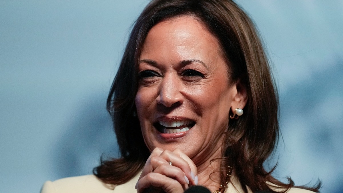 Kamala Harris fundraiser: White Dudes for Harris raise .7 million, Mark Ruffalo, Jeff Bridges show up