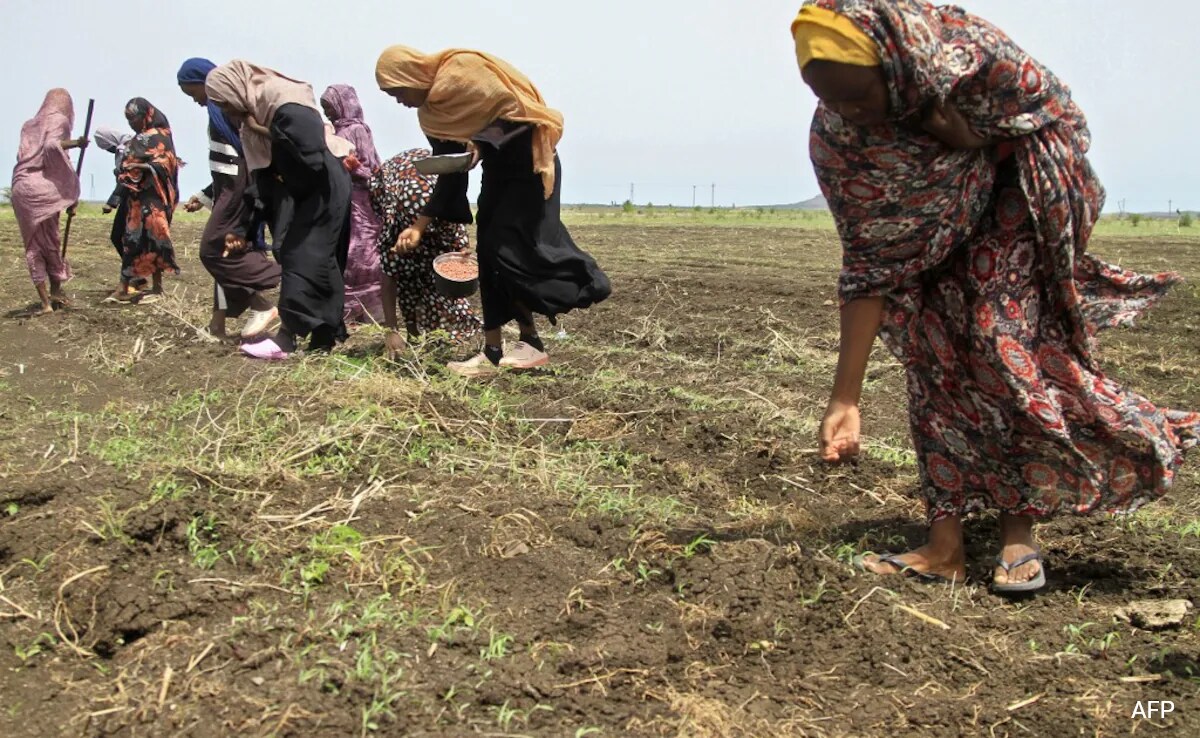 In Sudan, Women Forced To Line Up For Sex With Soldiers For Food: Report