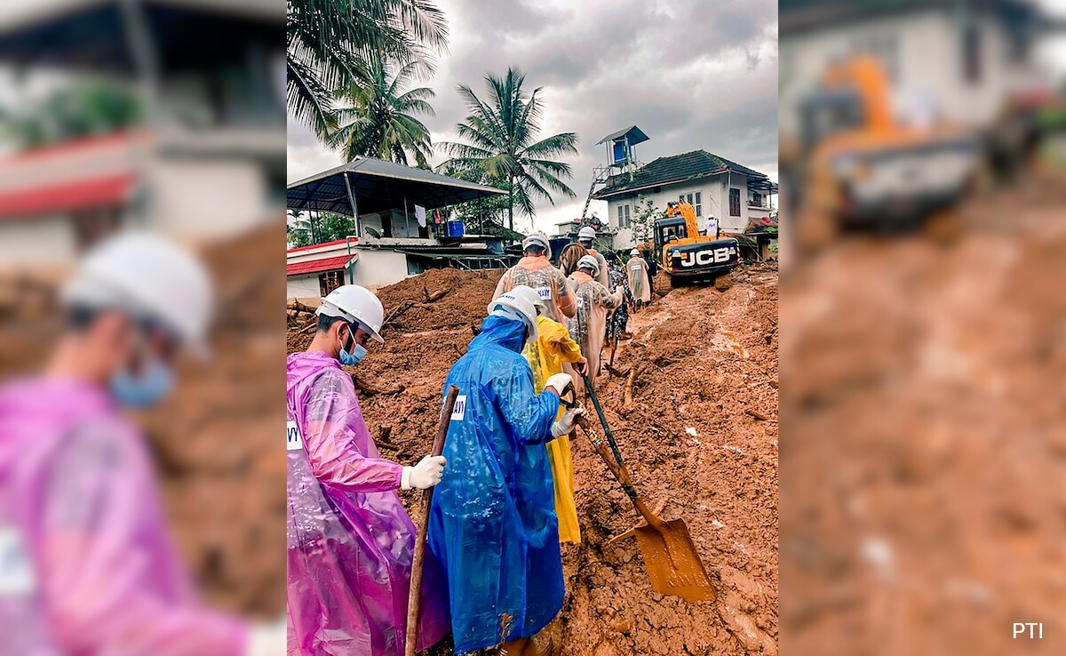 Kerala Taking Steps To Rehabilitate Everyone Affected By Wayanad Landslides