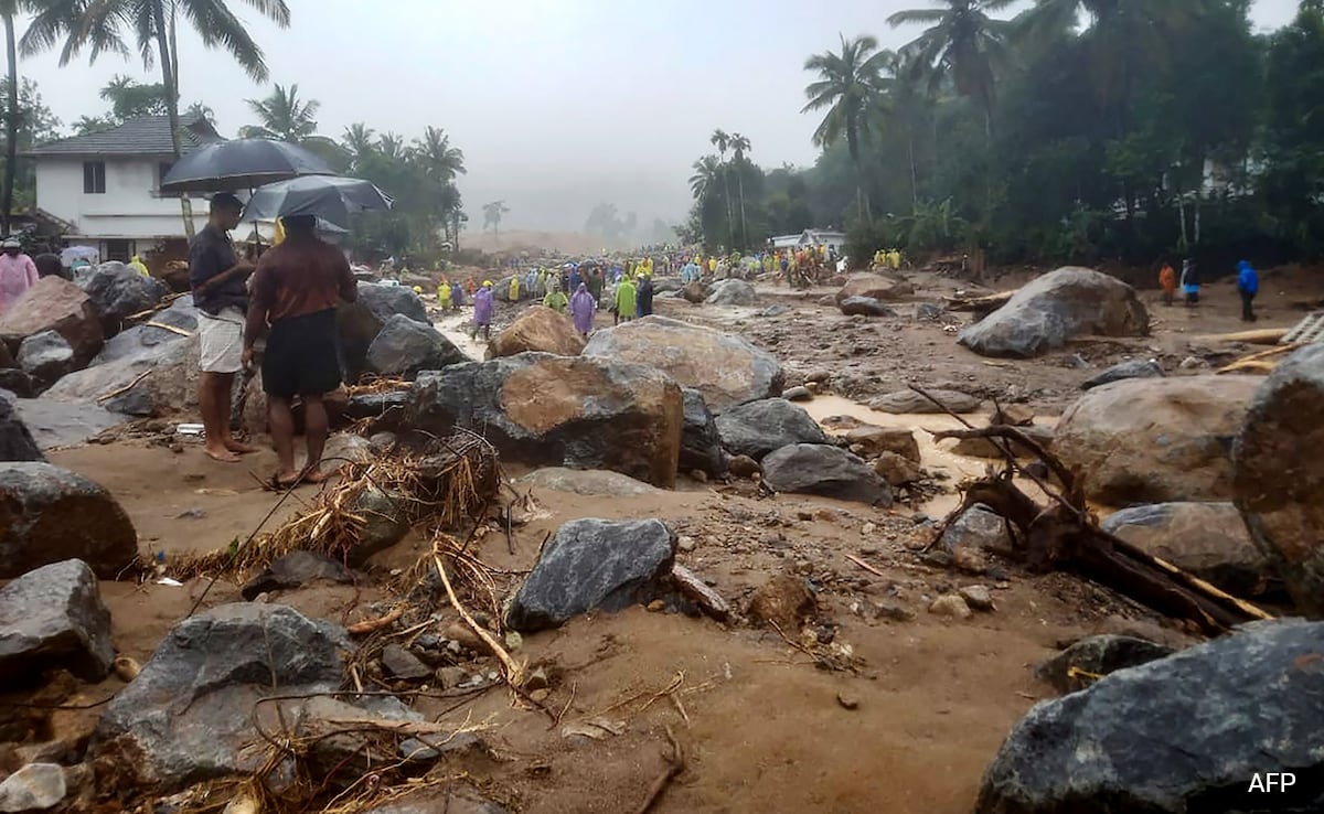 "Kerala Paying Price Of…": BJP Leader On Wayanad Landslides