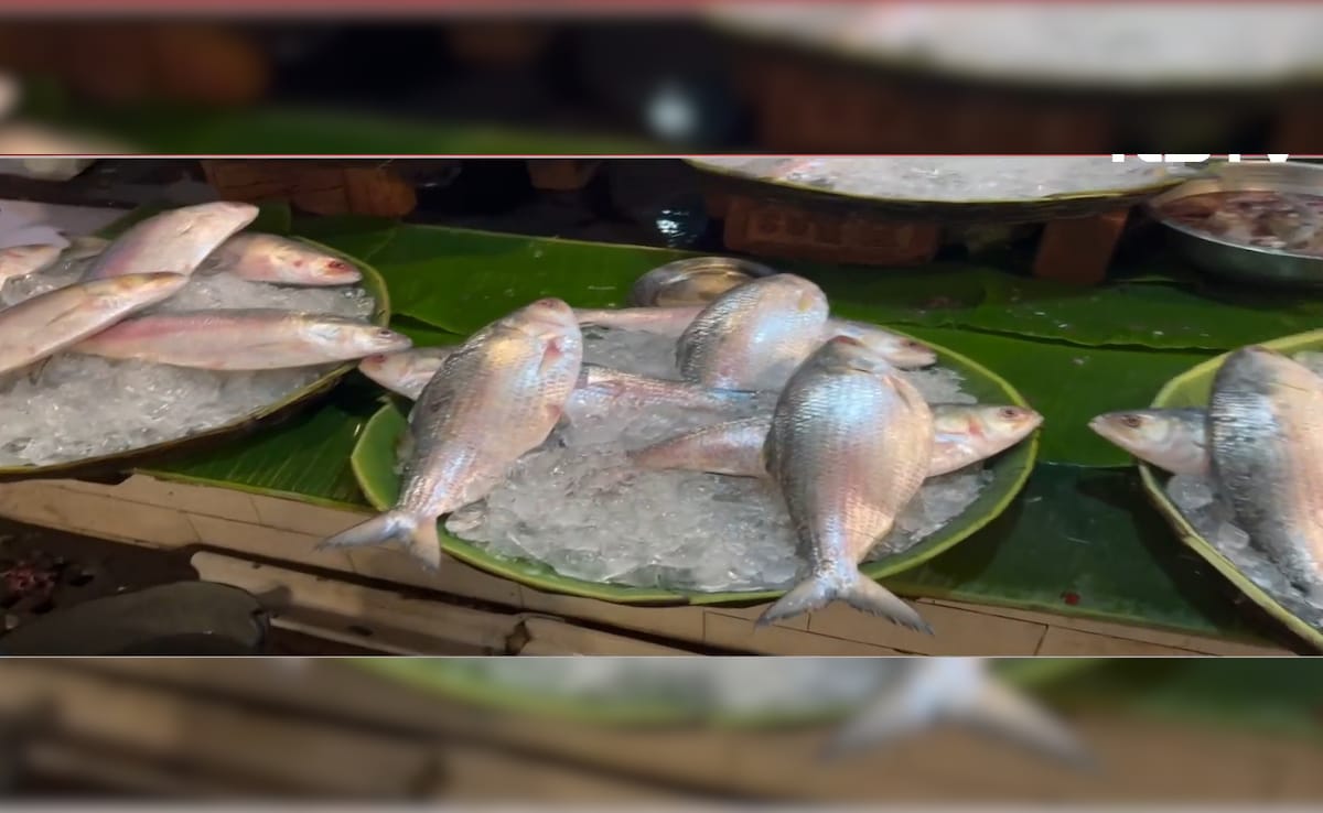 Bangladesh Crisis Hits Tables In Bengal, Northeast, As Hilsa Import Stops