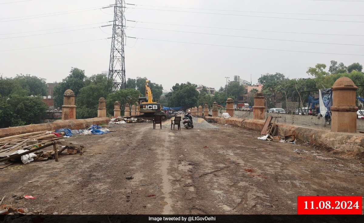 Archaeological Body To Restore Mughal-Era Bridge In Delhi In 3 Months