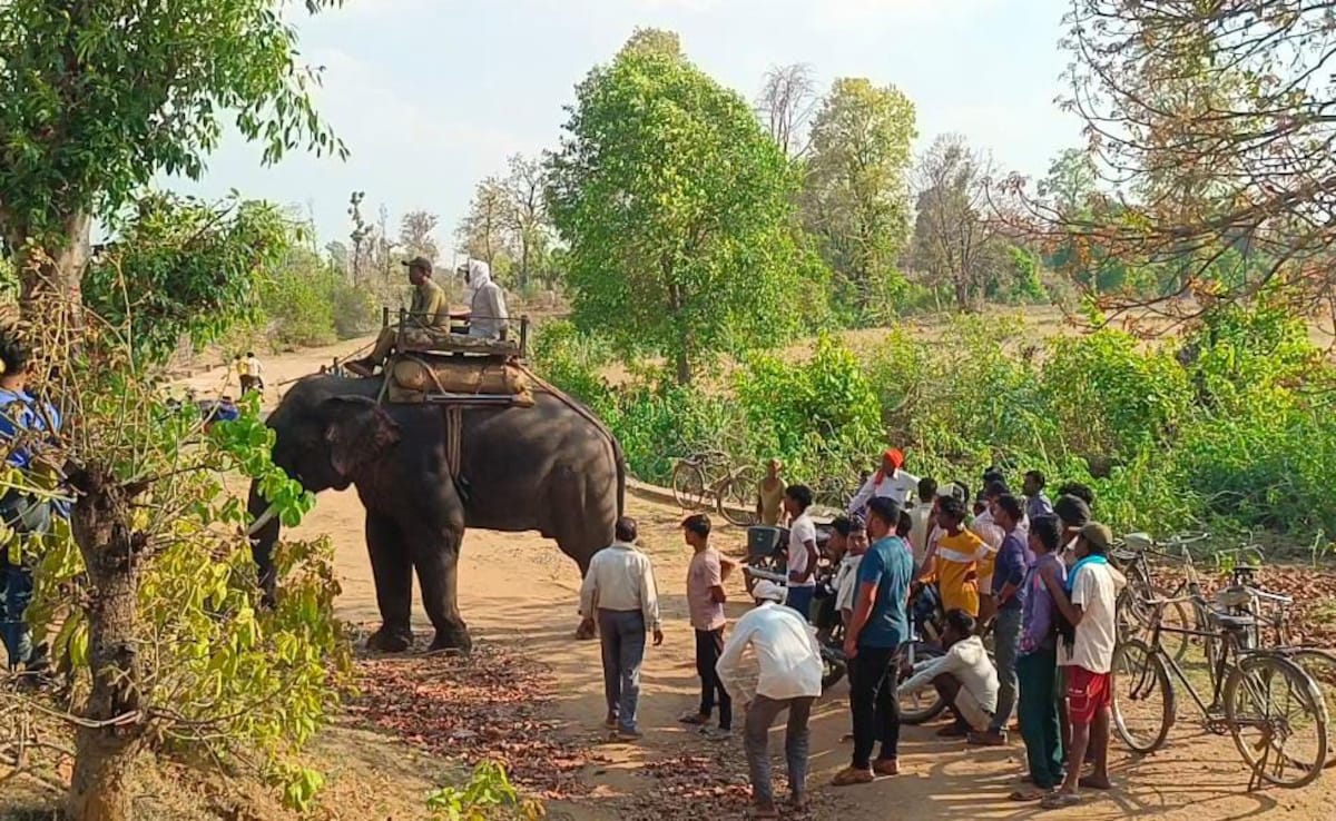 Madhya Pradesh Panels For Tribal Welfare, Eco-Conservation Hit Funds Wall