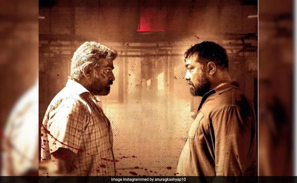 What Anurag Kashyap Said About Backlash Over Excessive Violence In Maharaja