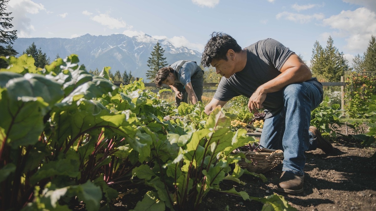 Indian-origin farmers in Canada left in cold as 90-year-old cooperative is shut