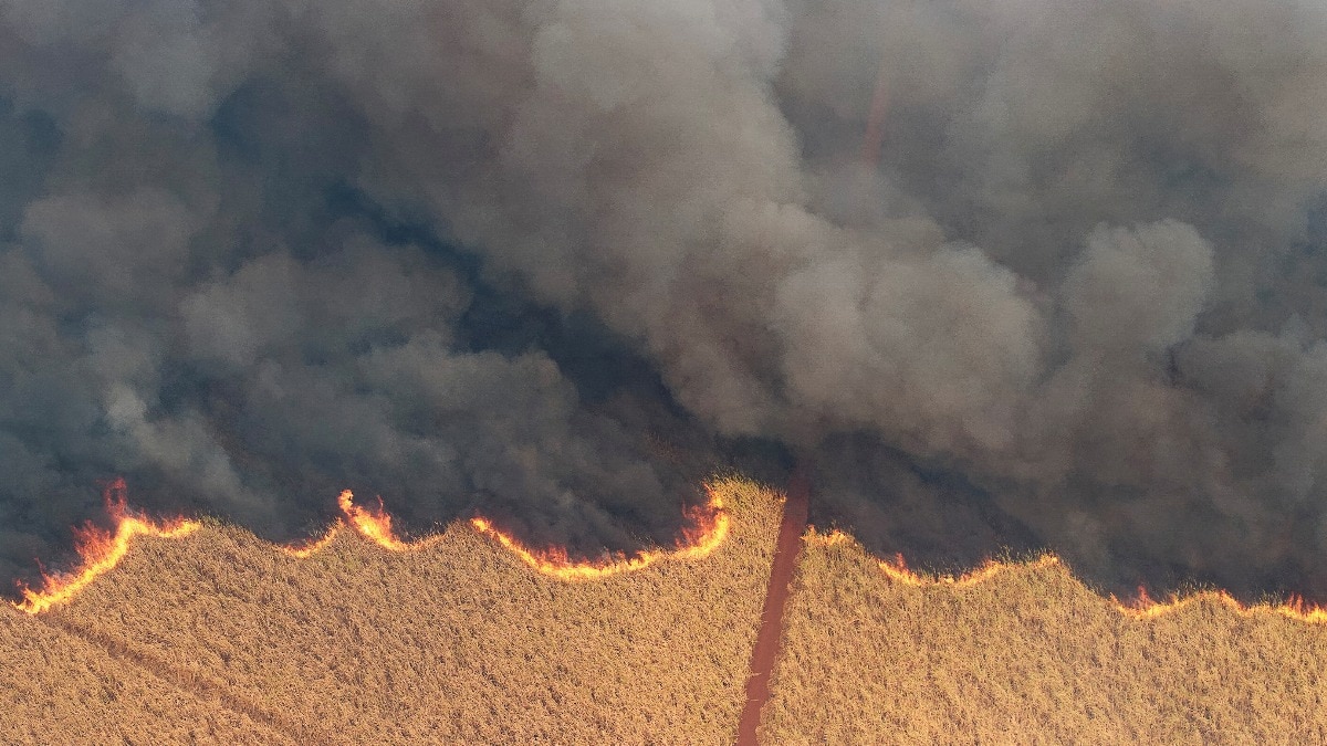 Wildfires raze through Brazil’s Northern Sao Paulo sugarcane fields, smoke cancels outdoor sports