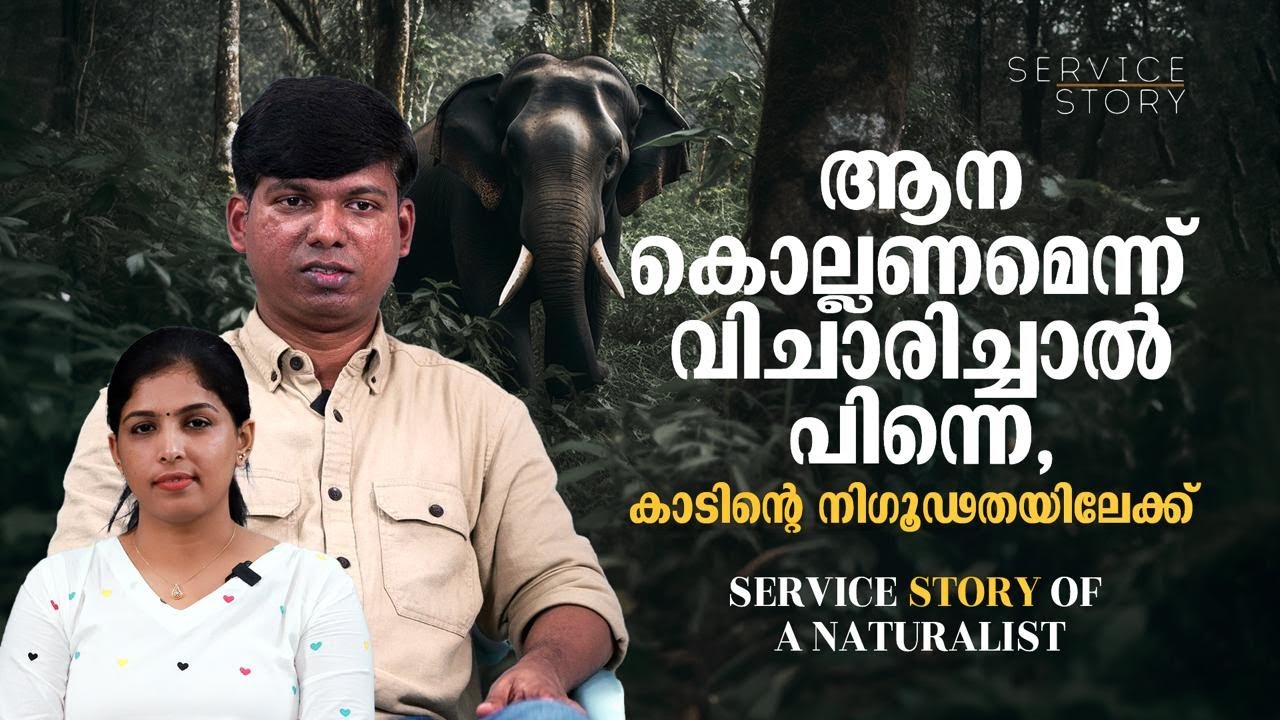 ആരാണ് കാട്ടിലെ ഏറ്റവും അക്രമകാരി, മുന്നിൽപെട്ടാൽ എങ്ങനെ രക്ഷപ്പെടാം I Service story of a Naturalist