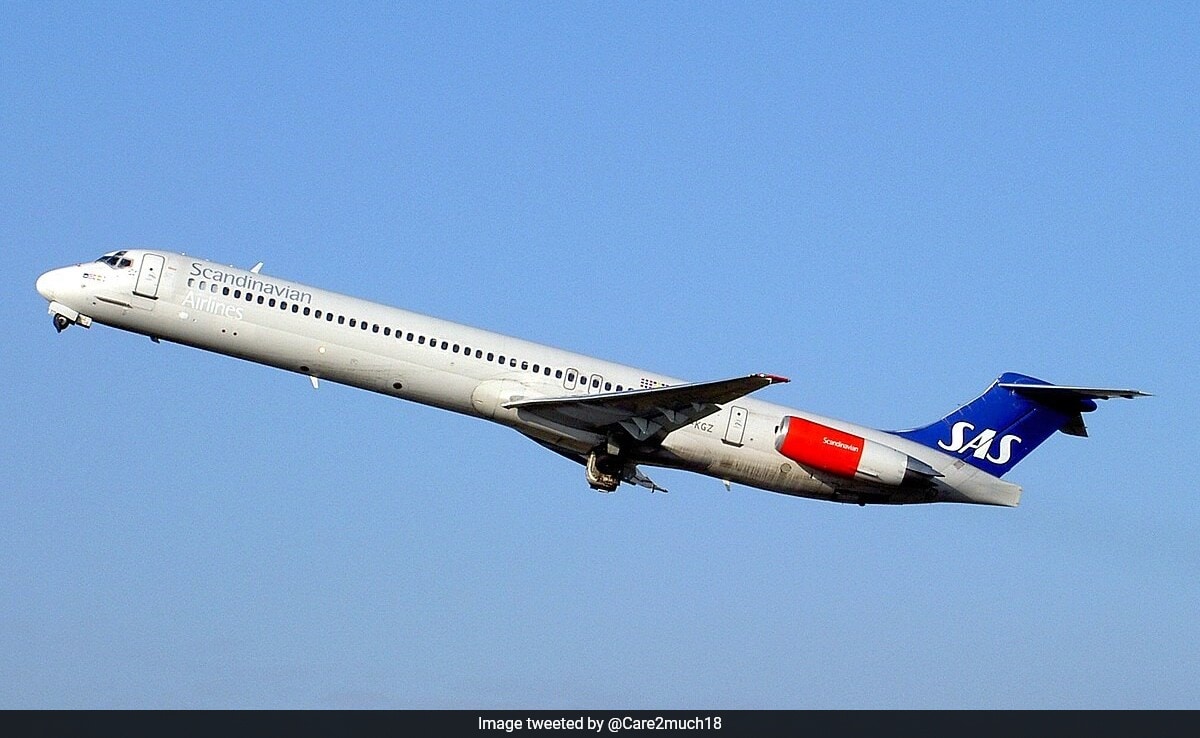 Scandinavian Airlines Flight Makes Emergency Landing After Live Mouse Found In Meal