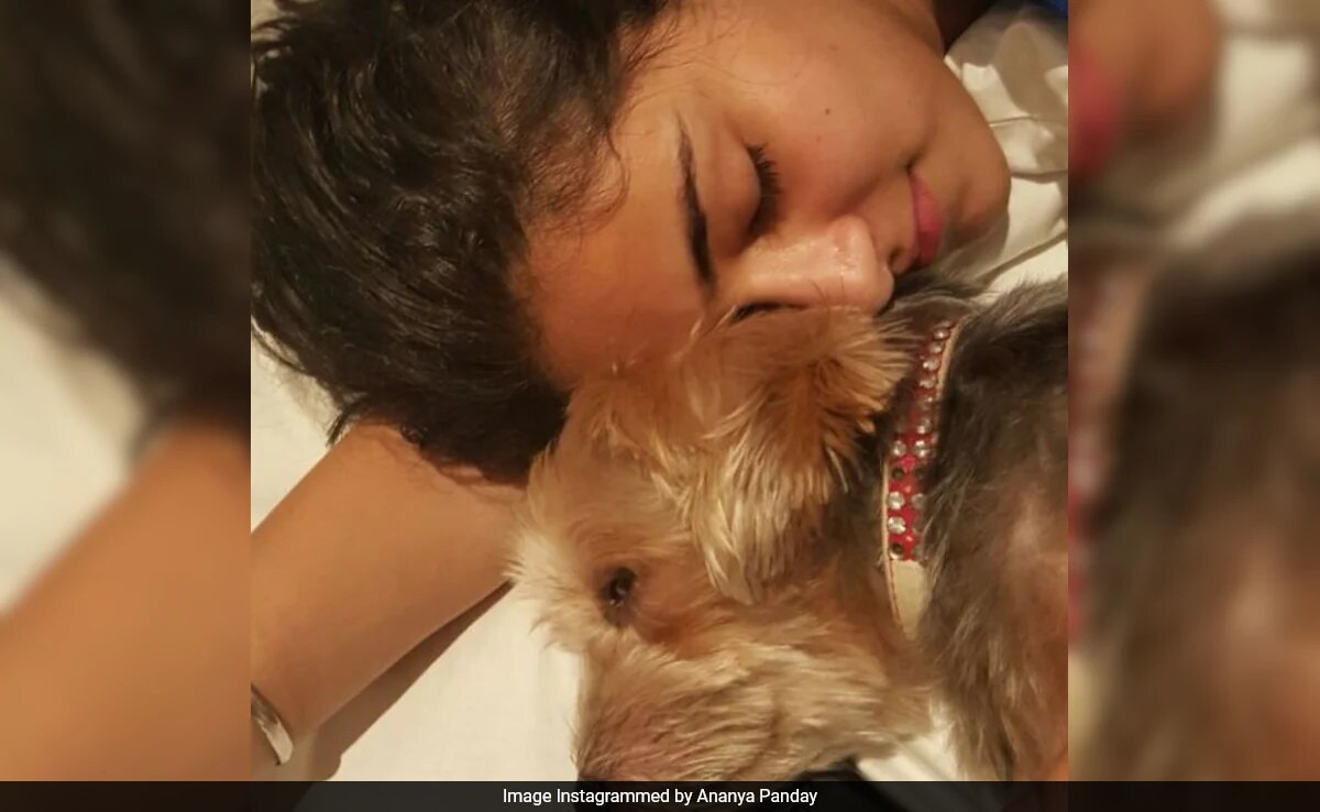 Ananya Panday's Pet Pooch Fudge Dies: "I'll Miss You Every Single Day"