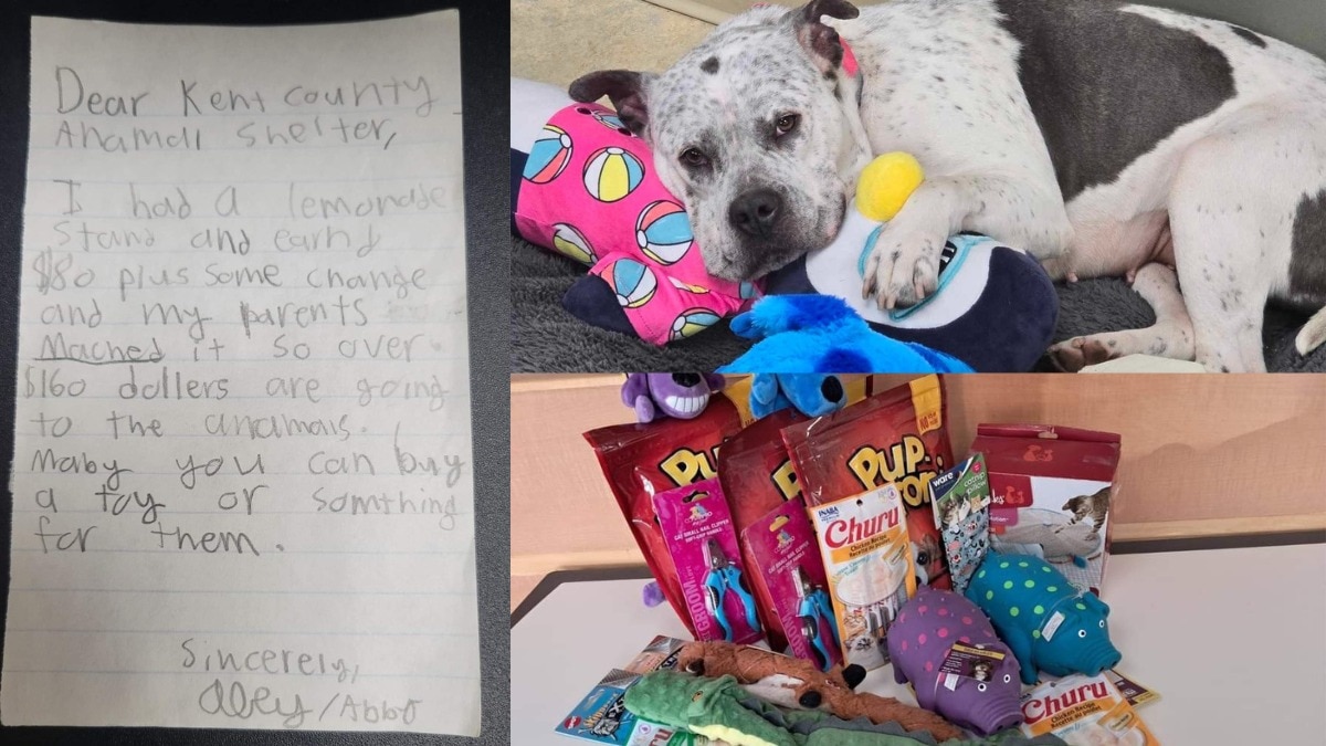 Michigan girl gives lemonade money to animal shelter, sparks flood of donations