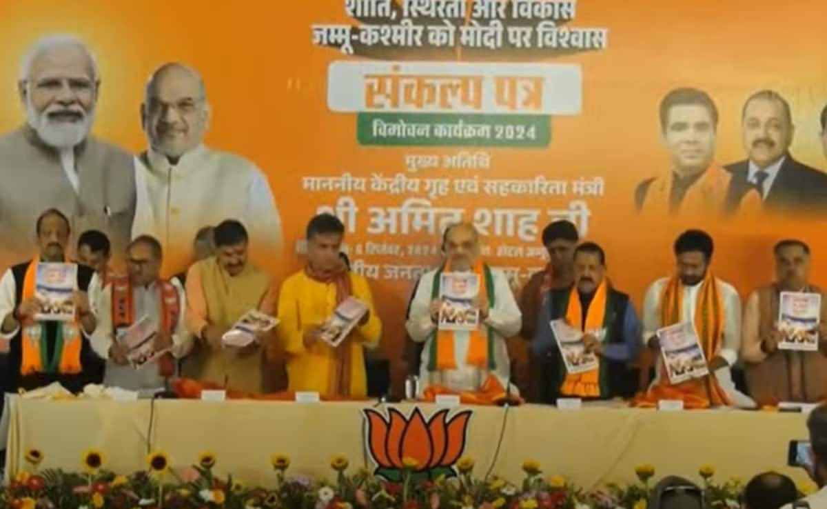 "Article 370 Won't Be Restored": Amit Shah Releases BJP's J&K Manifesto