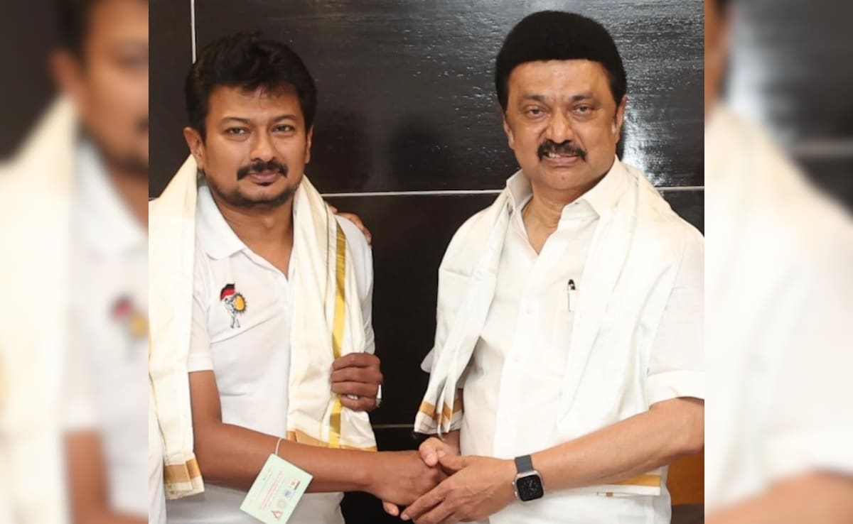 "Not Position, But Responsibility": Udhayanidhi Stalin On Getting Top Post