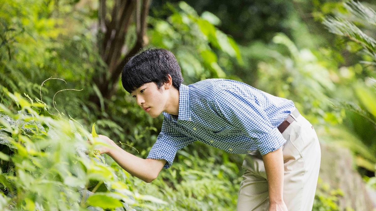 Japanese Prince Hisahito becomes first royal male to reach adulthood in four decades