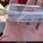 Glass Bottle With 200-Year-Old Message Found At French Archaeological Site