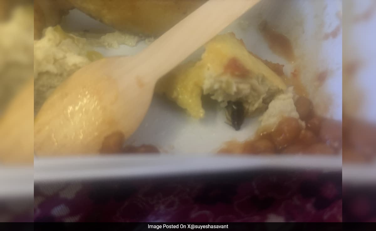 Air India Passenger Finds Cockroach In Food On Flight, Airline Responds