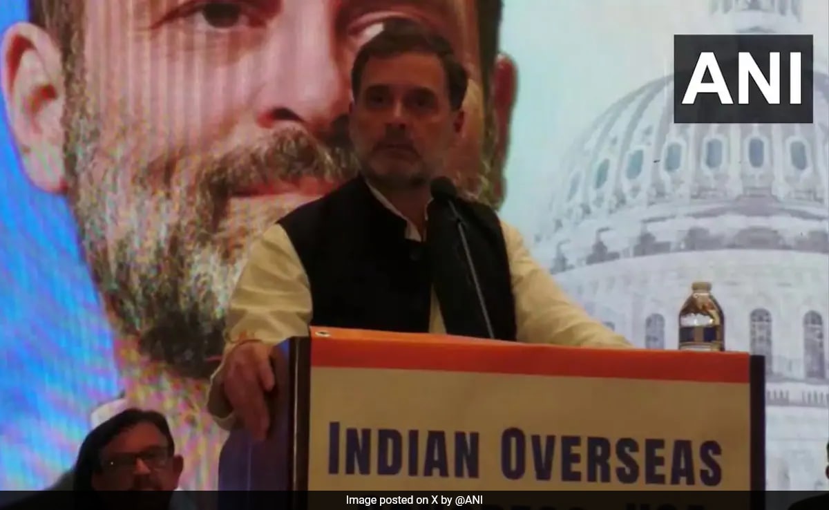 "You're Bridge" Between Two Nations: Rahul Gandhi On Indians In US