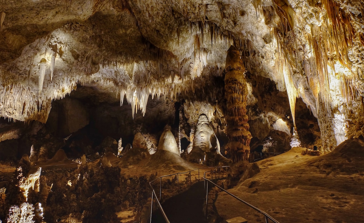 How A Bag Of Cheetos Unleashed Chaos In A Fragile US Cave Ecosystem