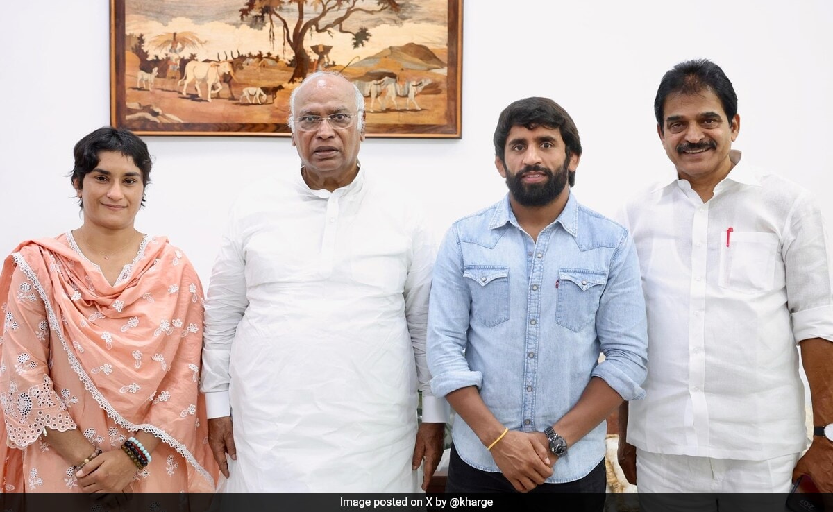 "When We Were Dragged On Roads…": Vinesh Phogat, Bajrang Punia Join Congress