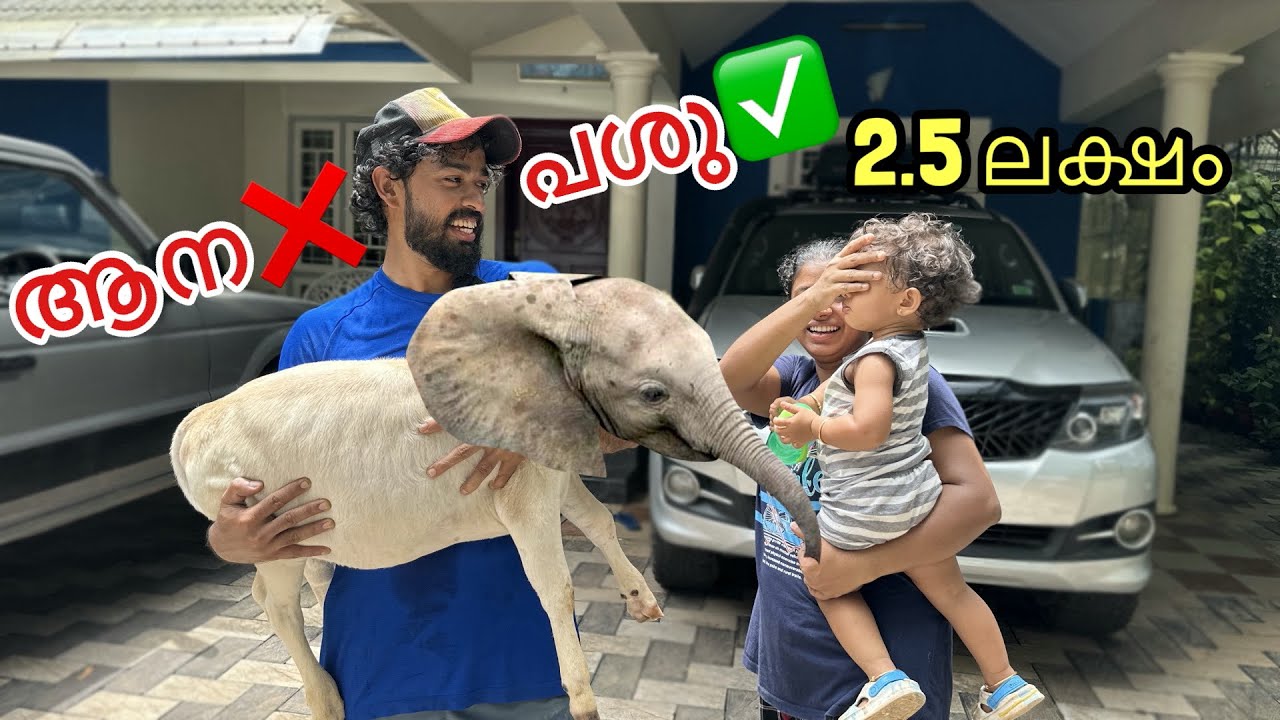 😱ദൈവമെ.. 2.5 ലക്ഷം രൂപയുടെ മൈക്രോ ആനയോ ?? | OMG this is very cute 😍