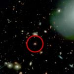 JWST Spots Isolated Supermassive Black Hole-Powered Quasars in the Early Universe