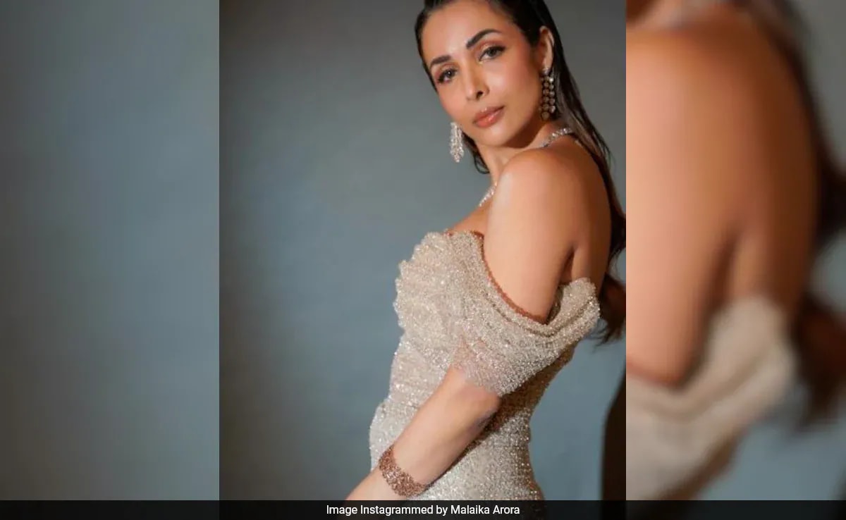 Malaika Arora Shares Cryptic Post After Arjun Kapoor Confirms Breakup: "Touching A Heart…"