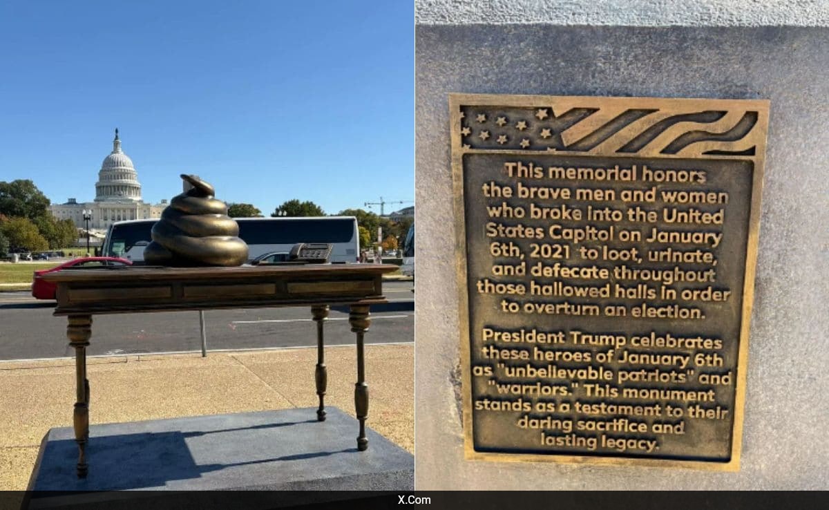 Controversial Poop Statue Near US Capitol Stirs Debate Over January 6 Riots