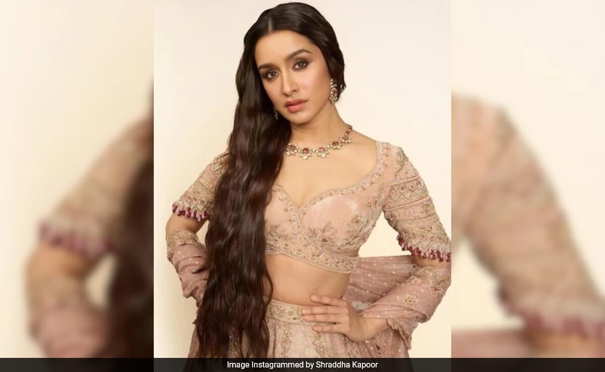 NDTV World Summit: Shraddha Kapoor On Potential Expansion Of Aashiqui Franchise: "It Would Be Awesome"