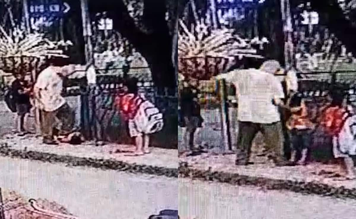 On CCTV, Punjab Man Beats Boy, 5, For Imitating His Pet Dog