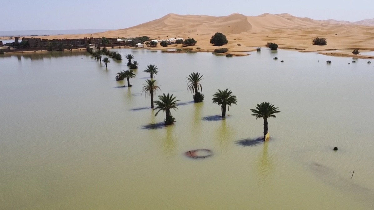 Rare rain floods Sahara Desert, dry lake filled for first time in 50 years