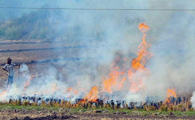 "Mere Eyewash": Supreme Court Raps Punjab, Haryana Over Stubble Burning