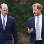 Prince William talks about brother Prince Harry amid family feud, shares childhood memories