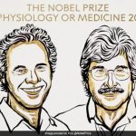 2024 Nobel Prize In Medicine Goes To US Scientists For microRNA Discovery