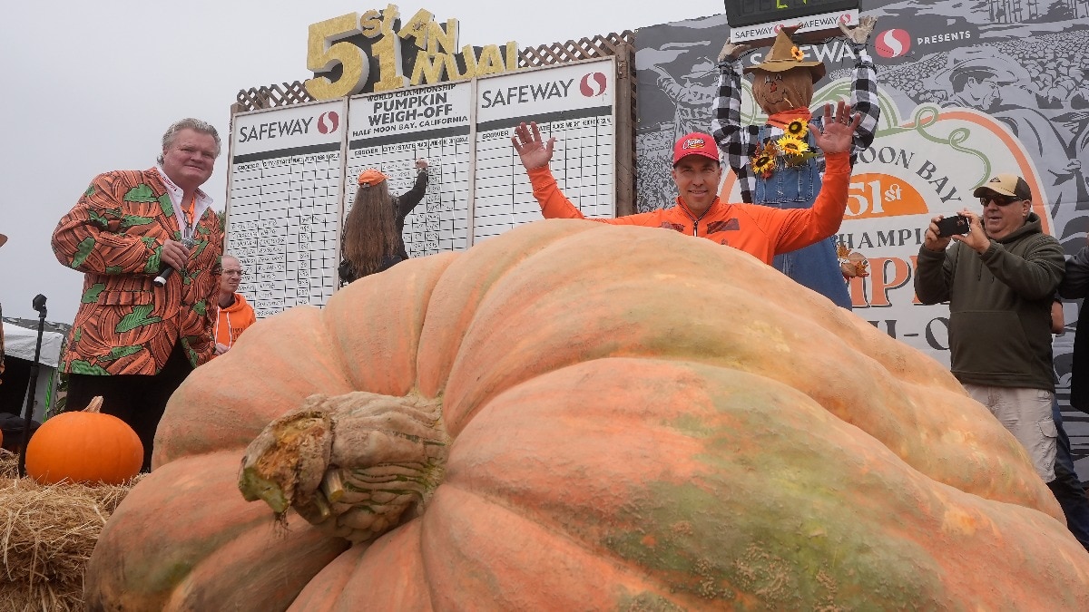 California teacher Travis Gienger grows pumpkin weighing 1,121 kg, wins top prize for 4th straight year