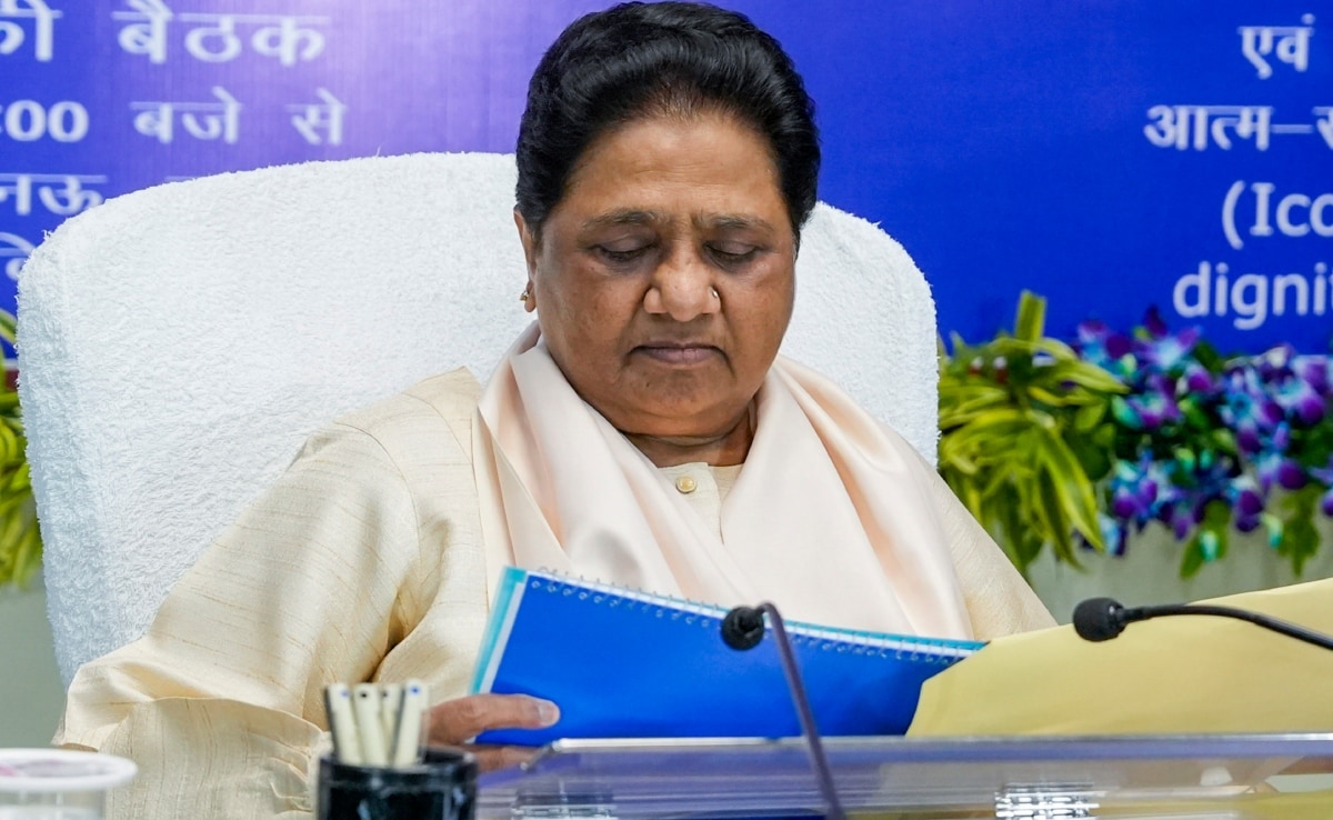 Mayawati Blames "Casteist" Mindset Of Jat Community For Loss In Haryana