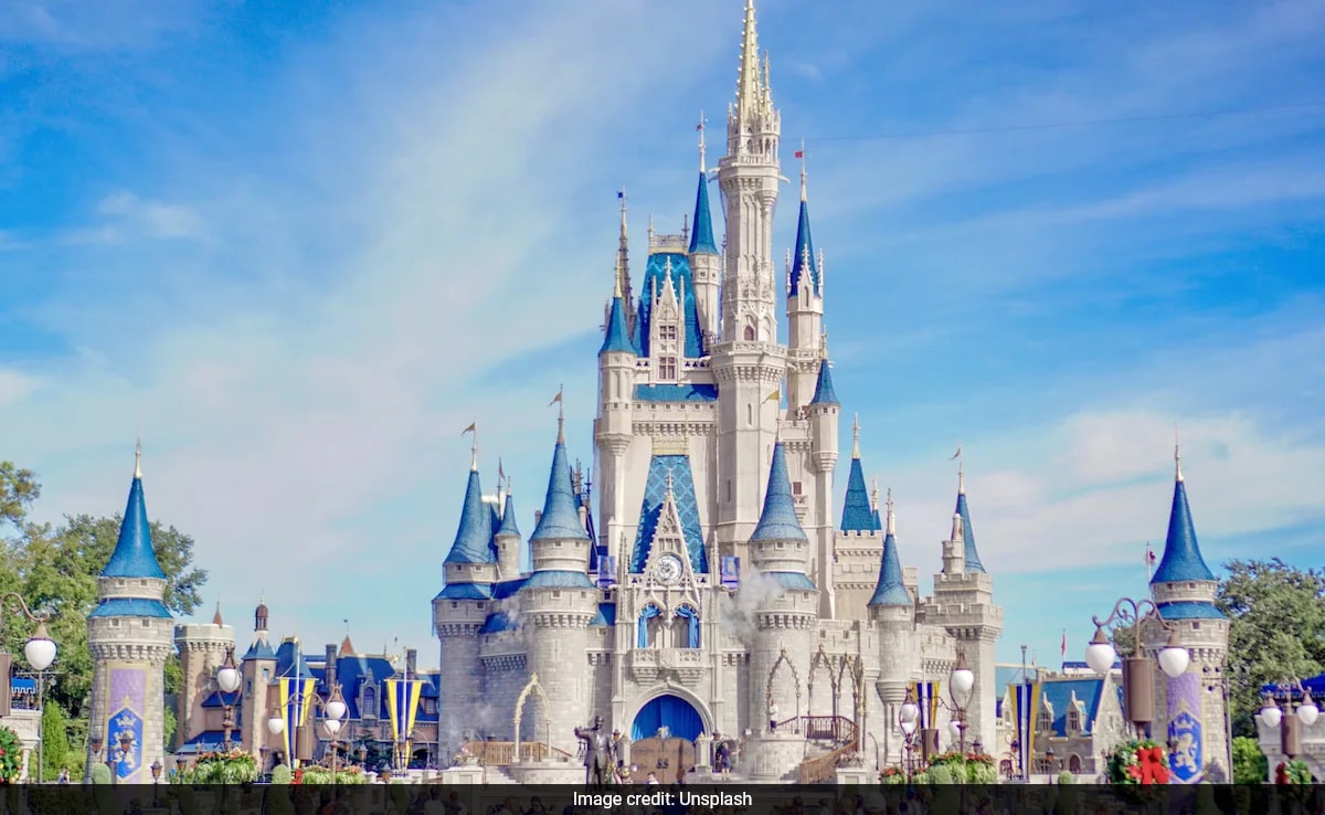 US Couple Takes 31 Trips To Disney World After Stealing Over Rs 4 Crore From Government