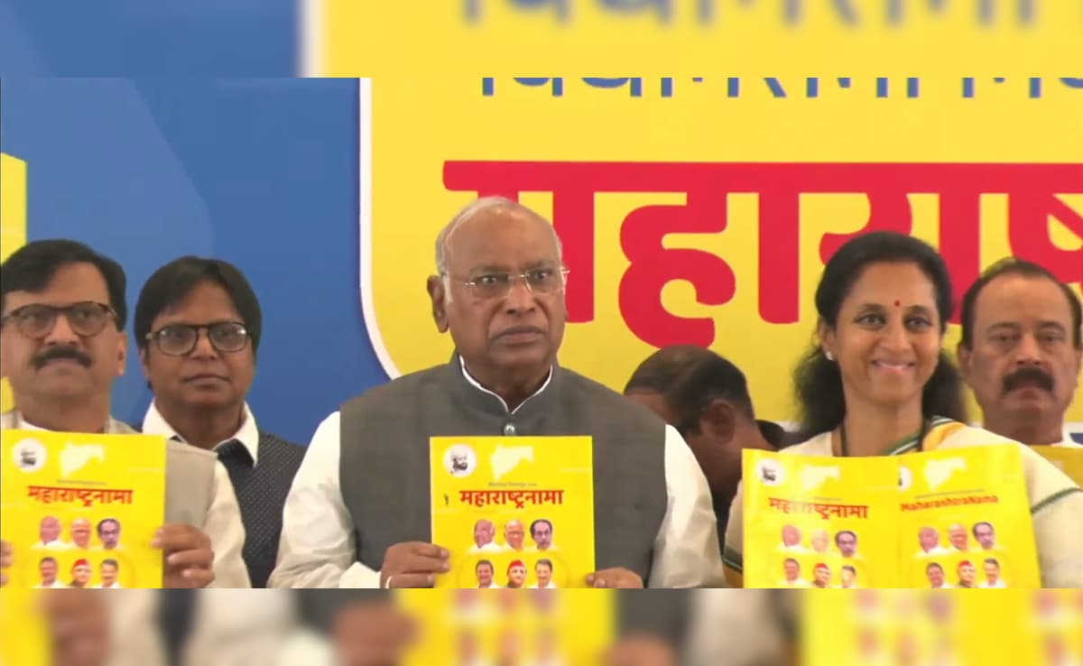 Maharashtra Opposition Manifesto Promises Rs 3,000 To Women, Caste Census