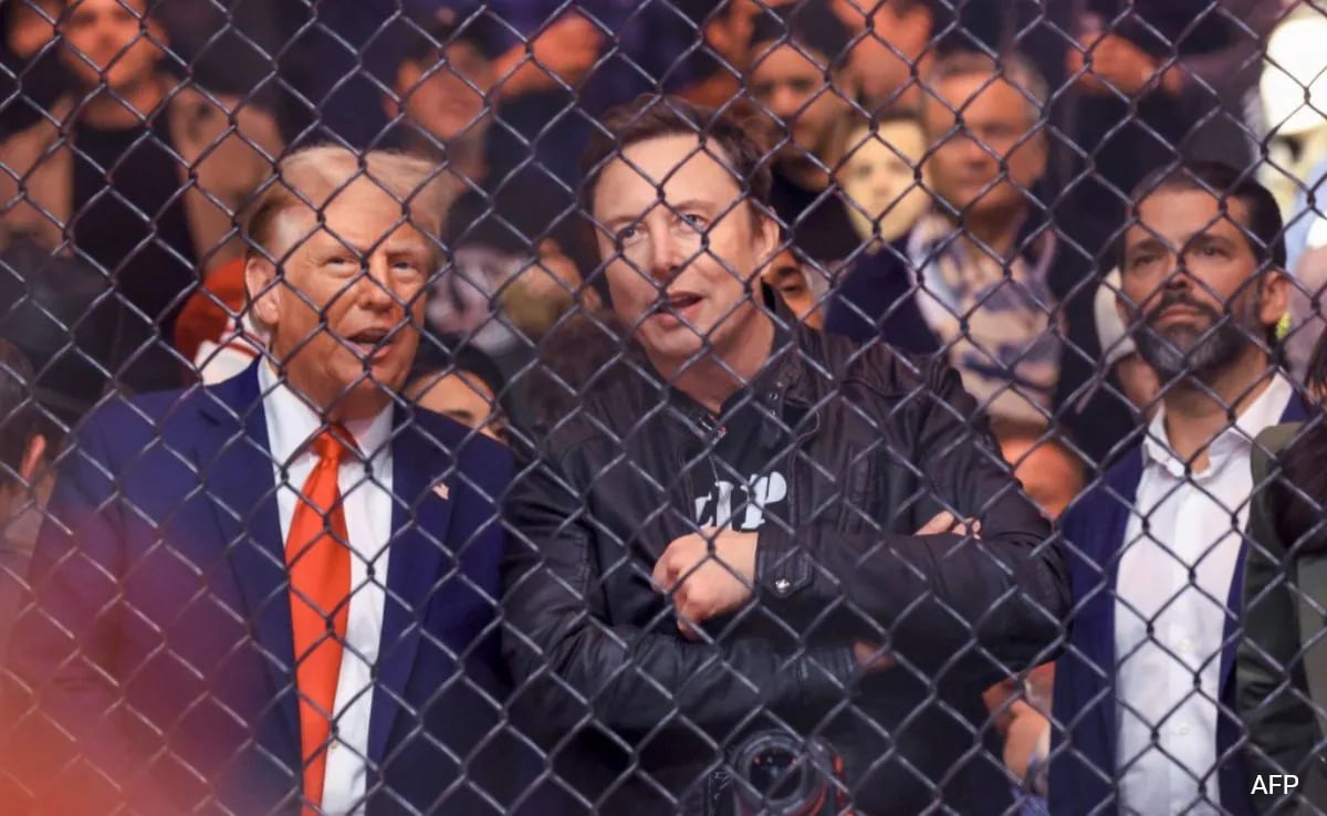 Donald Trump, Elon Musk In Front-Row Seats At UFC Event