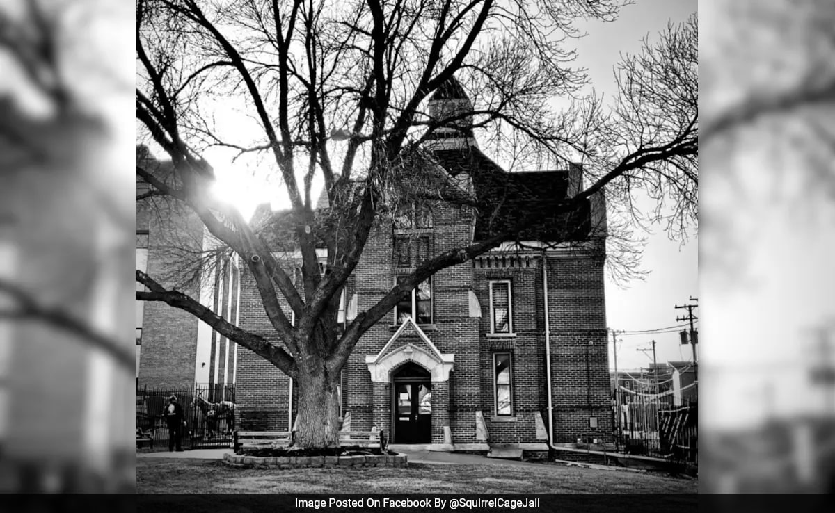 Chilling History Of Squirrel Cage Jail, Where Anmol Bishnoi Is Lodged