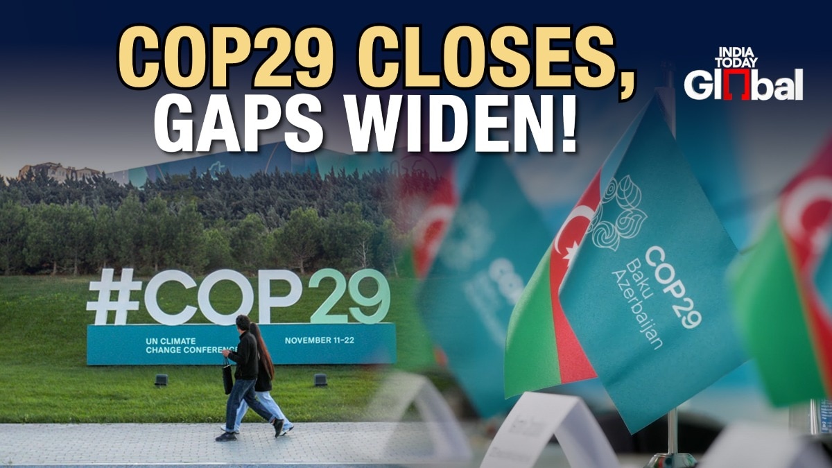 COP29 wrap-up: promises, progress & challenges