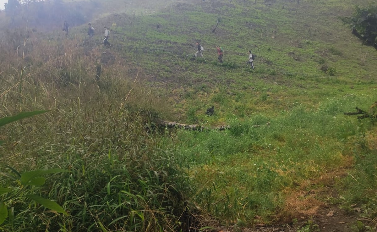 Manipur Cops Walk 3 Hours To Raze Poppy Farms, Face "90 Armed Miscreants"