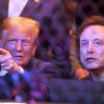 Did Elon Musk crack up on memes next to US President elect Donald Trump at UFC event? Tesla CEO reacts