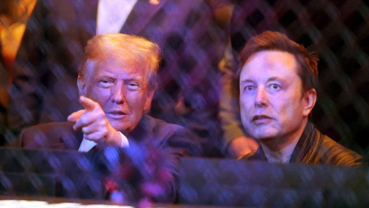 Did Elon Musk crack up on memes next to US President elect Donald Trump at UFC event? Tesla CEO reacts