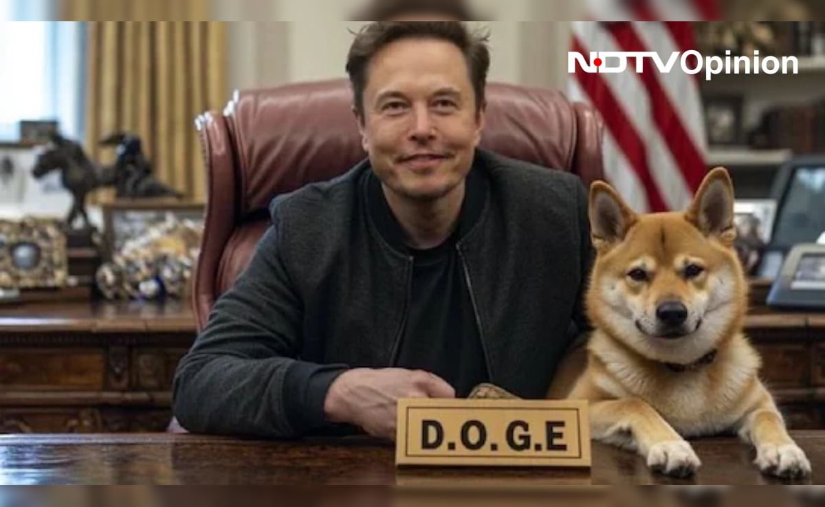 Will Trump’s DOGE Be A Failed Experiment?